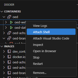 VSC Docker shell